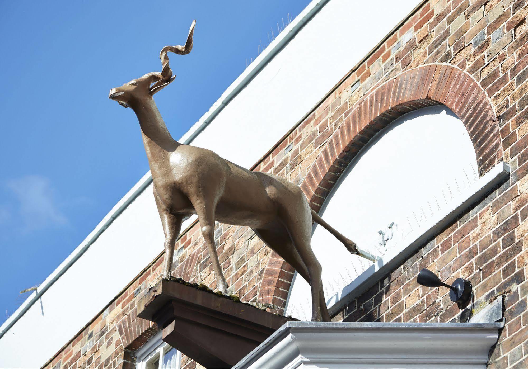 Antelope by Greene King Inns Poole Eksteriør bilde